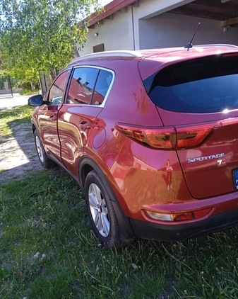 Kia Sportage cena 77500 przebieg: 66500, rok produkcji 2016 z Kowal małe 106